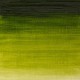 WINTON  SAP GREEN